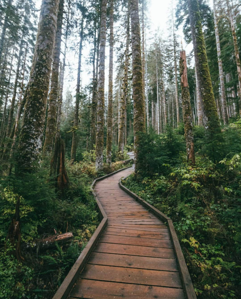 Mountain Loop Highway, one of the most scenic roads in Washington!