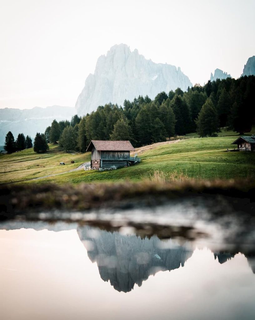 @gonz.ddl and Dolomites