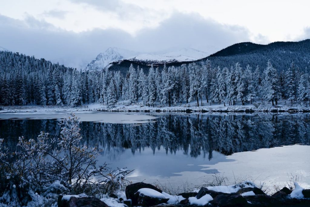 @andresclausen.jpg and winter view