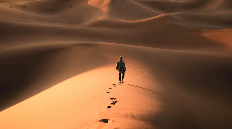 @kayvanhuisselinga and dunes