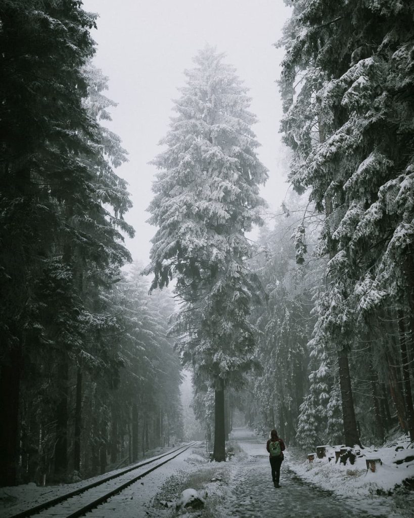 @martenkaehlert and Alone in the Forest