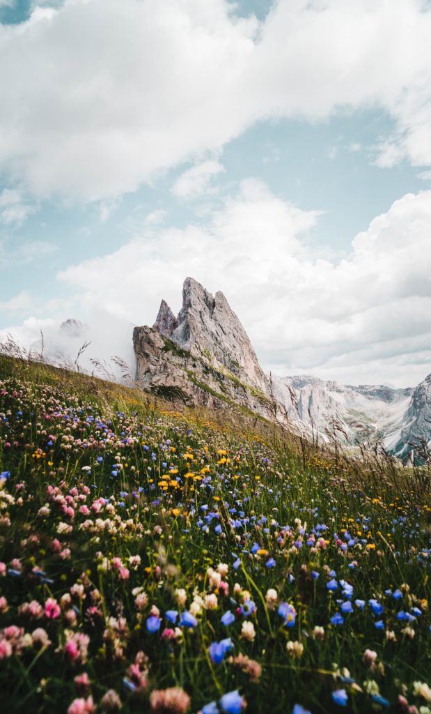 @tommasopaloschi and Dolomites Spring