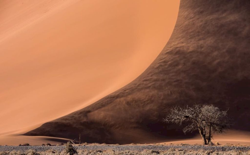 @jandre_namibia_photo_ and sand dunes