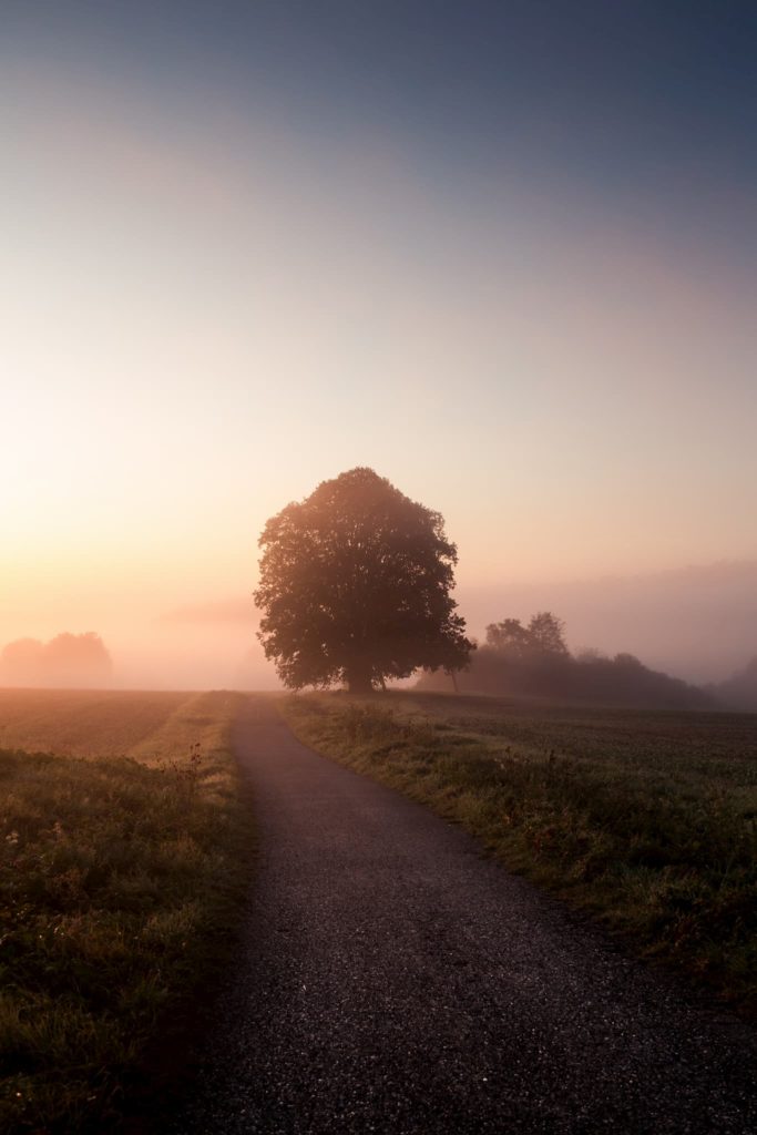 @marceljeanmarie and Foggy Morning