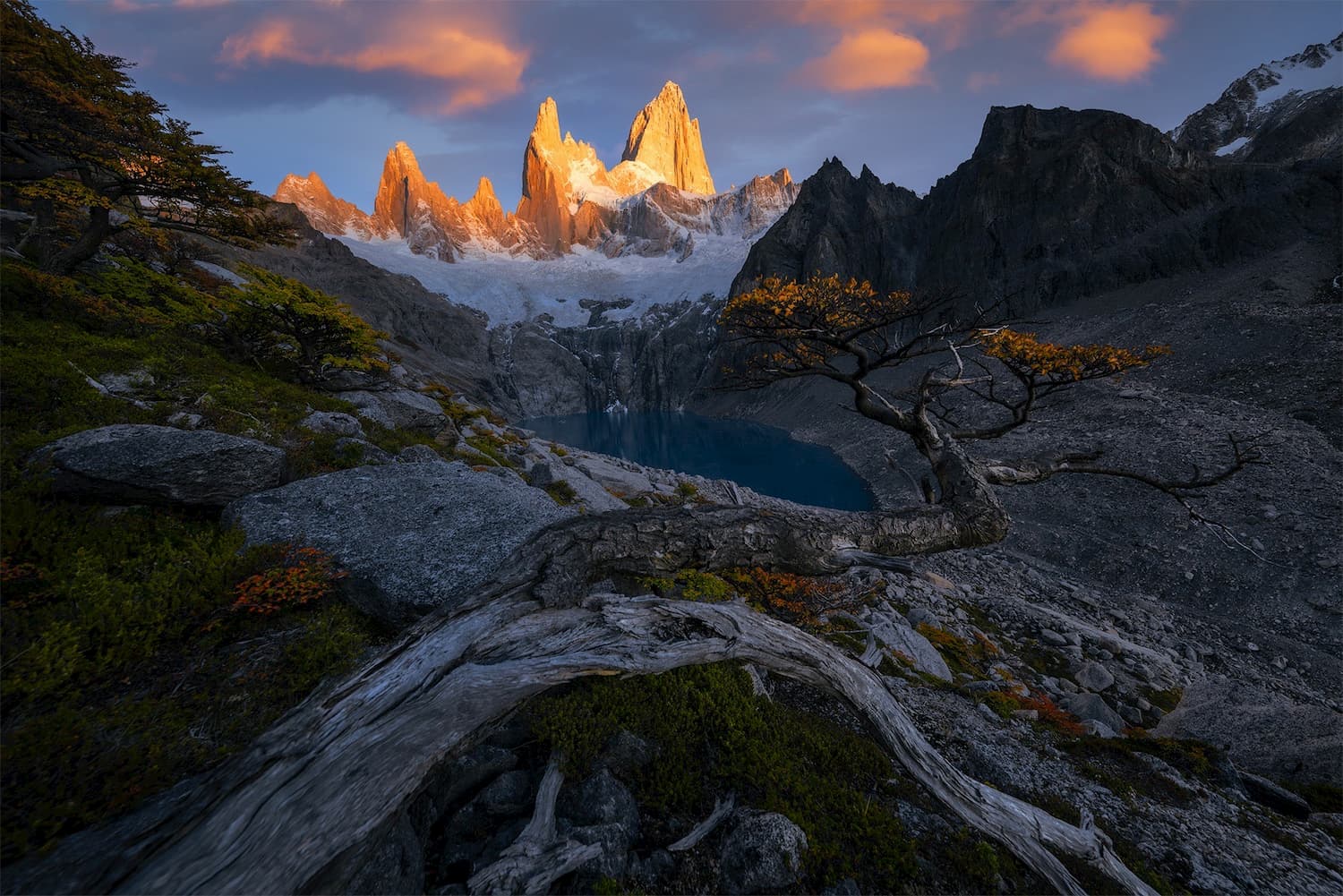 @lucabeniniphotography and torres del paine