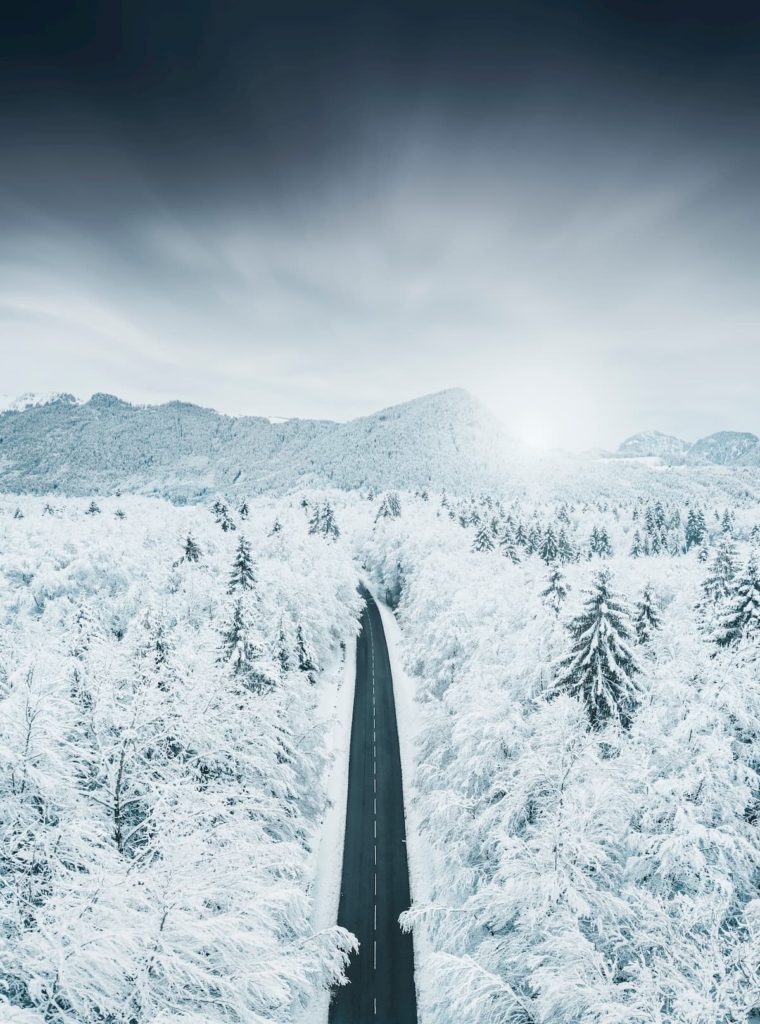 @tp_photographie_ and winter road