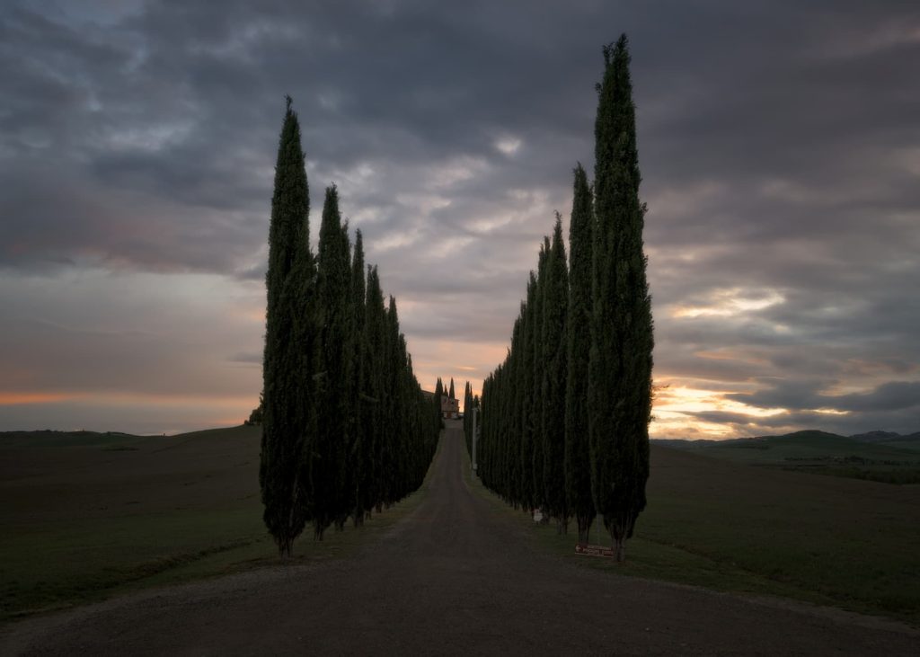 @konstantinos_vasilakis and Tuscany, Italy