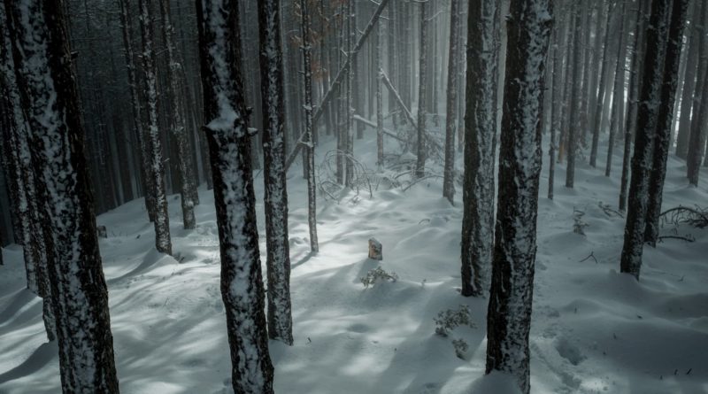 @konstantinos_vasilakis and snowed forest