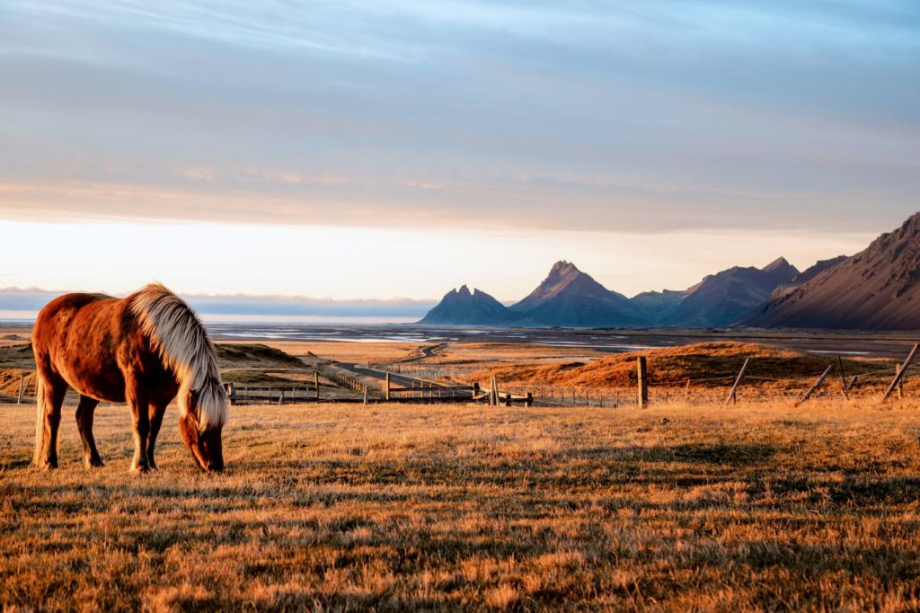 @wanna_lala Iceland