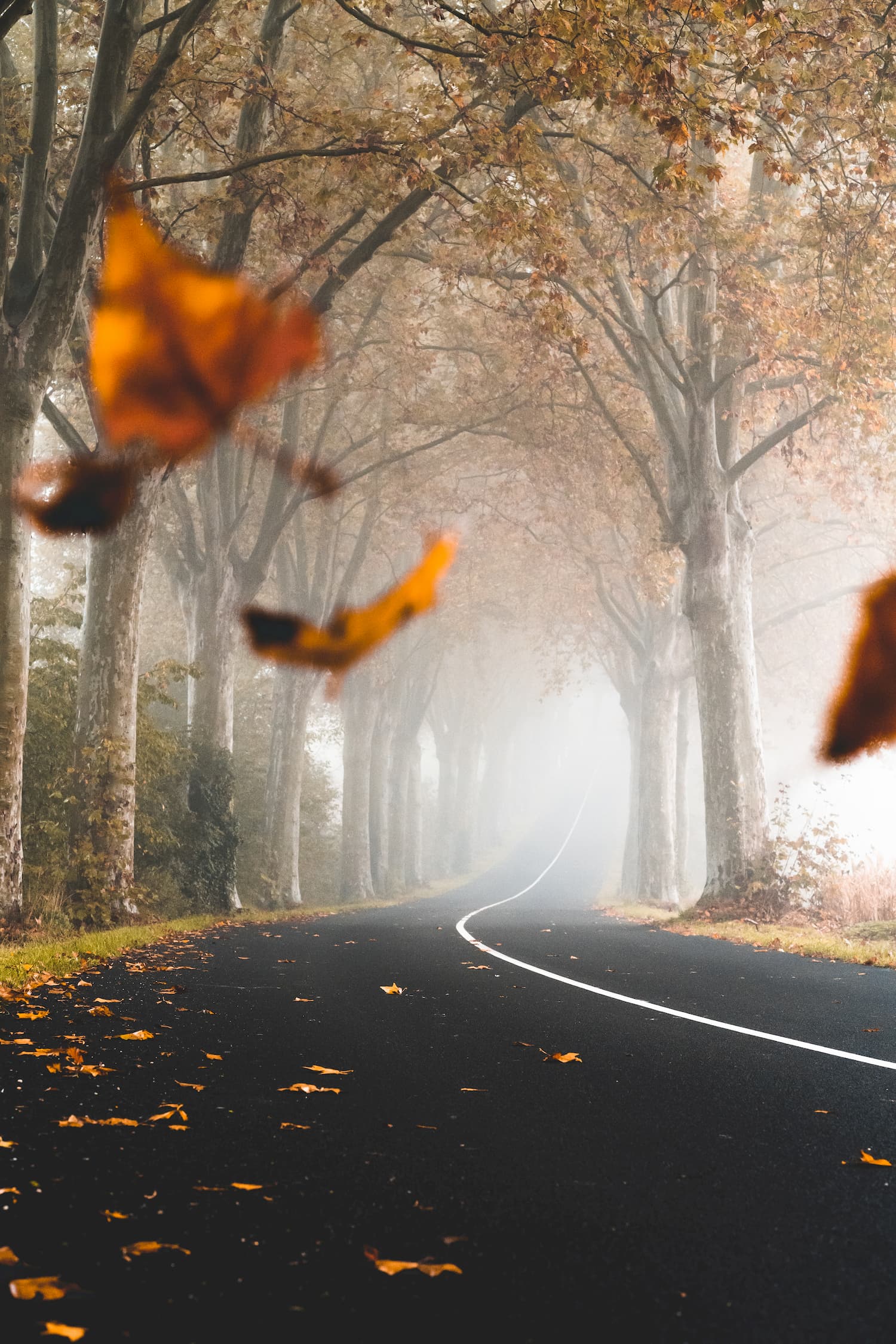 @cedric_schell and road