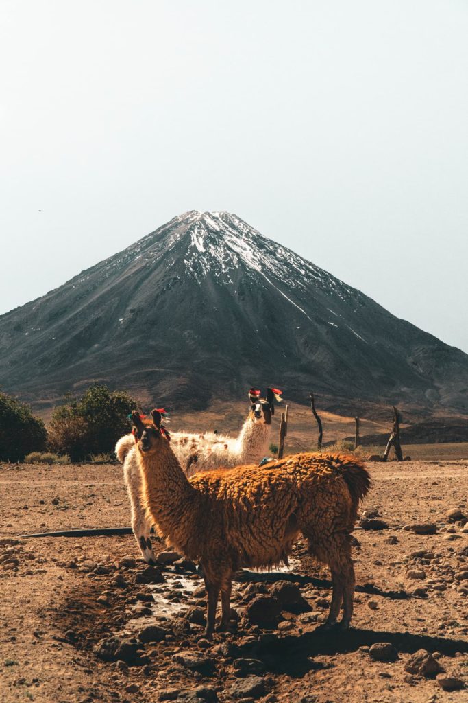 @lpapilllus and Peru