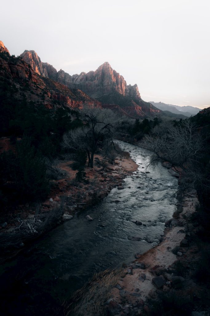 @brettbeckerphoto and Zion National Park