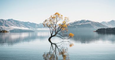 @sven.wieg and Wanaka