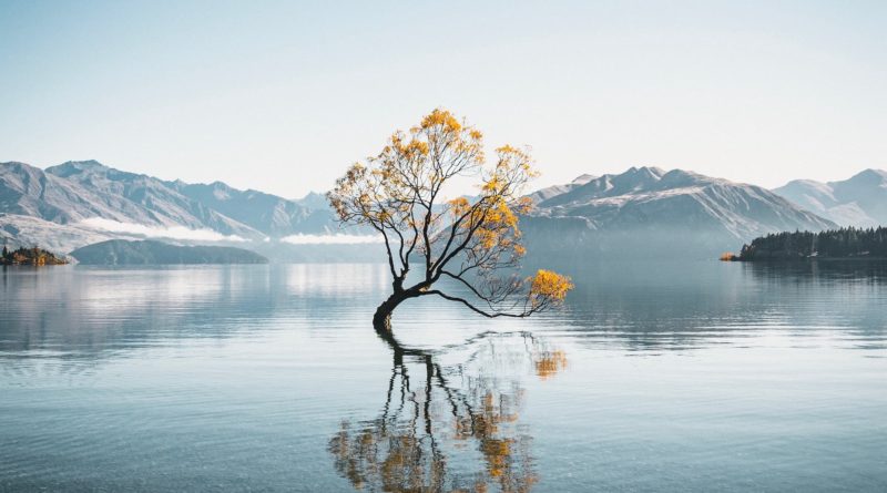 @sven.wieg and Wanaka