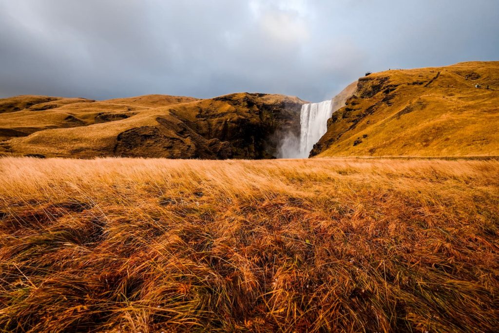 Skogafoss and @alesview