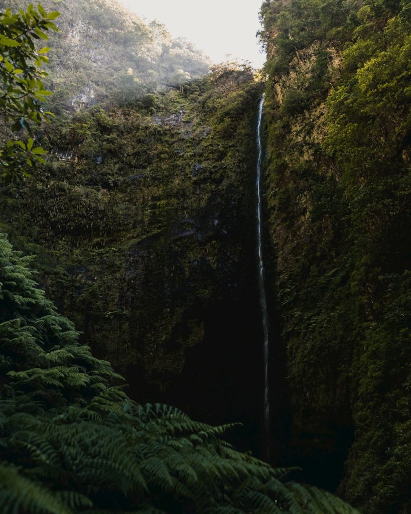 @gonzalo.baz and Madeira