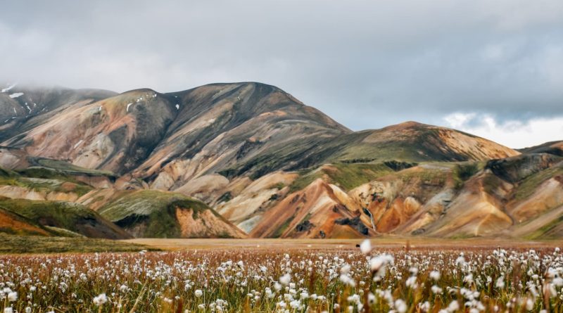 @hybridyang and Iceland view