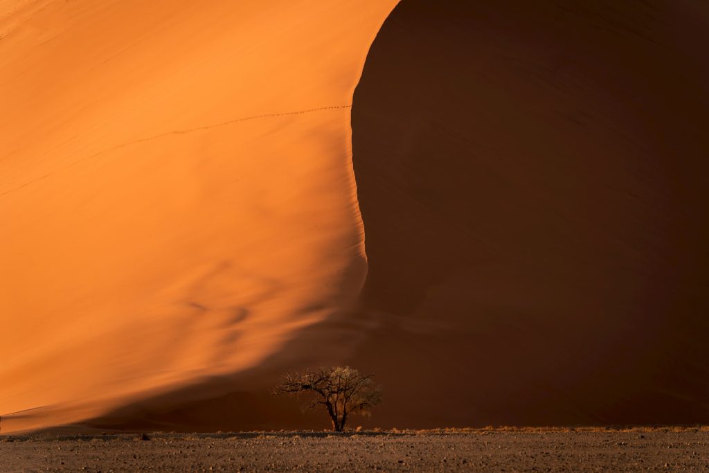@cristoforoperrone Namibia dune