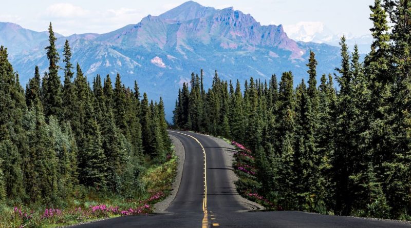 @josseph and Denali National Park