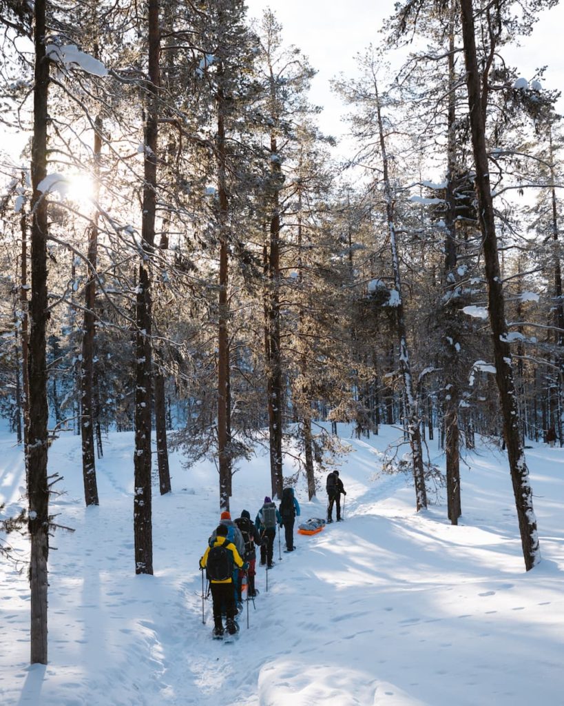 Snowshoe trek in Pallas-Yllästunturi National Park with Seven fells up