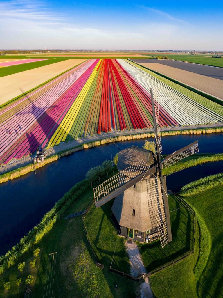 skeyes_nomadict_tulip fields