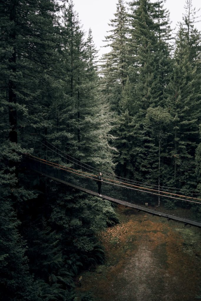 @_joshuayates and bridge view, New Zealand