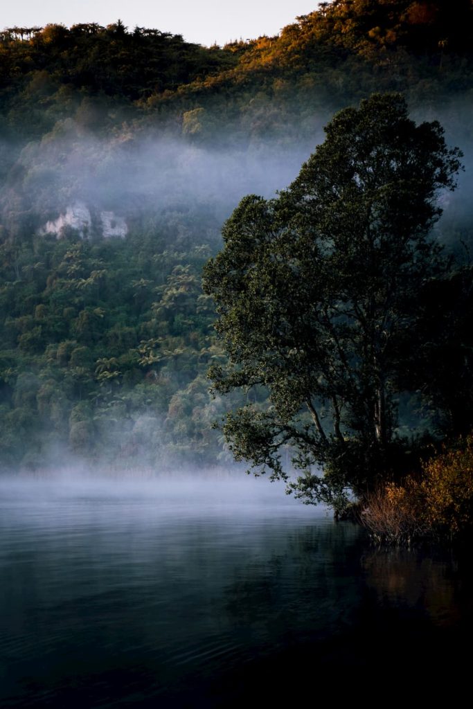 @_joshuayates and foggy morning