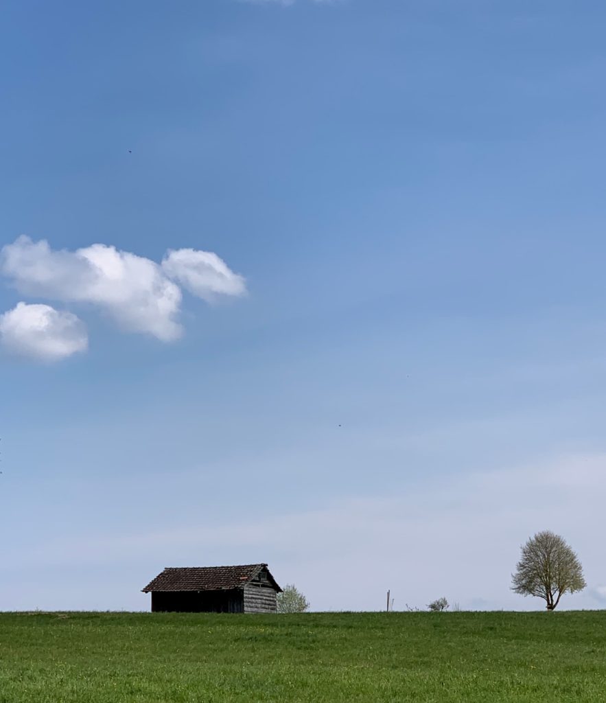 @a.m_aus_z and farm view