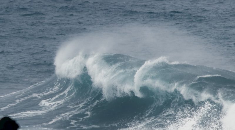 @jorge_csardinha and Sao Miguel, Açores