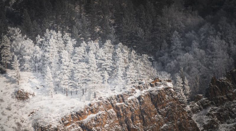 @mike_bazhenov and Siberia forest, Russia