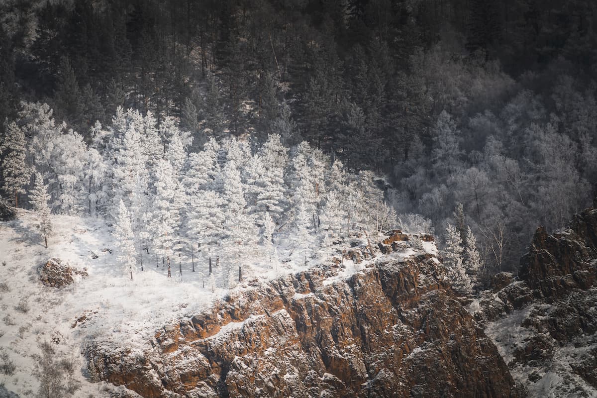 @mike_bazhenov and Siberia forest, Russia