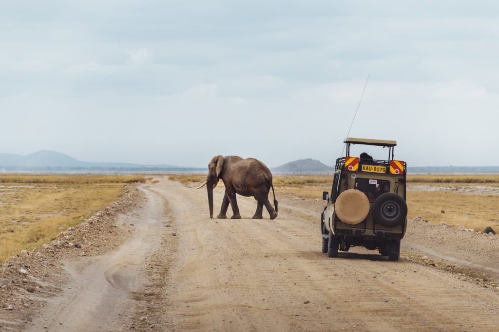 @ocaseyphoto and road trip, Africa