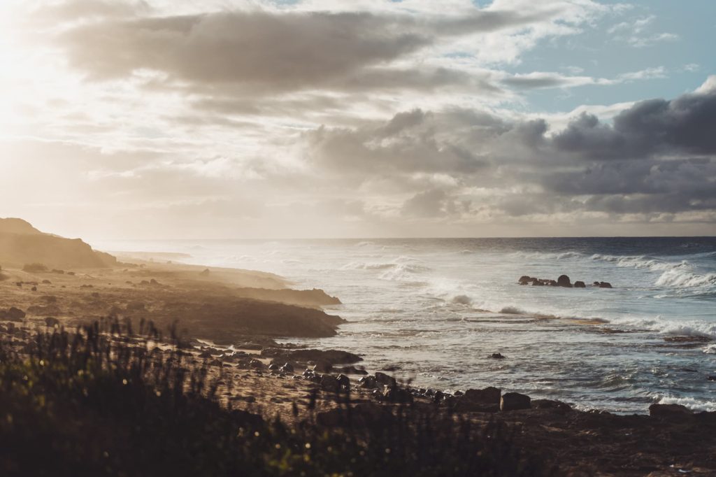 Tyler O'Casey and Hawaii beach