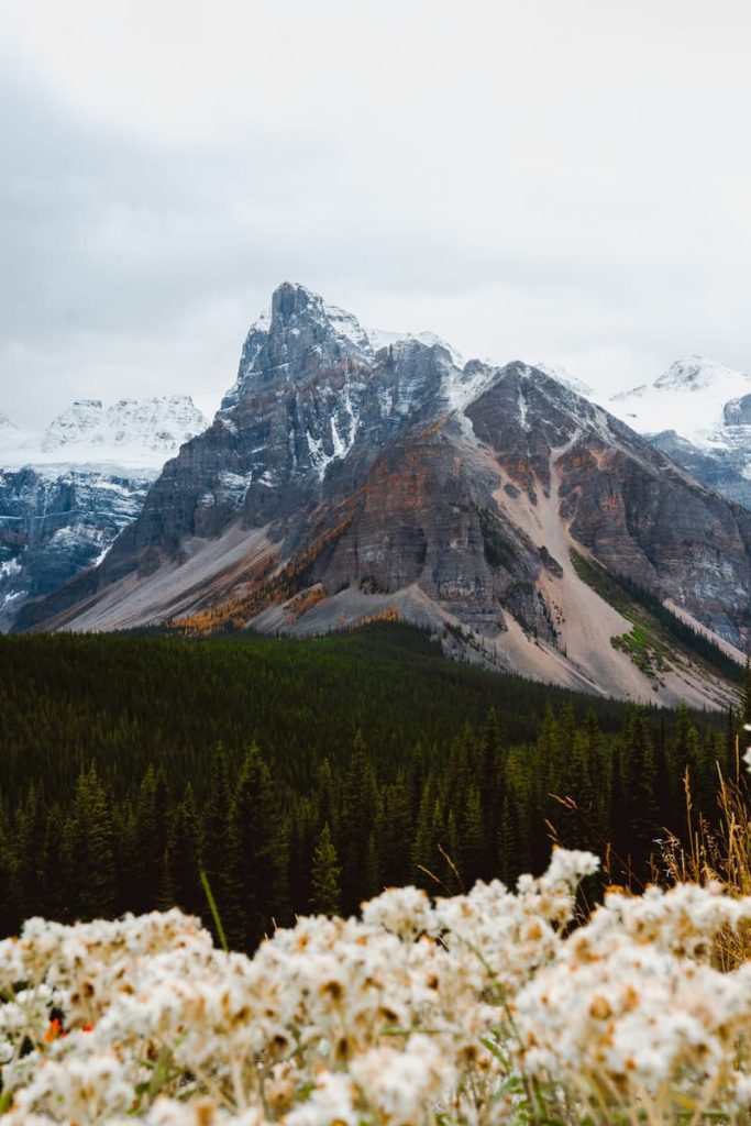 Canada, The Rockies, Joseph Meldrum