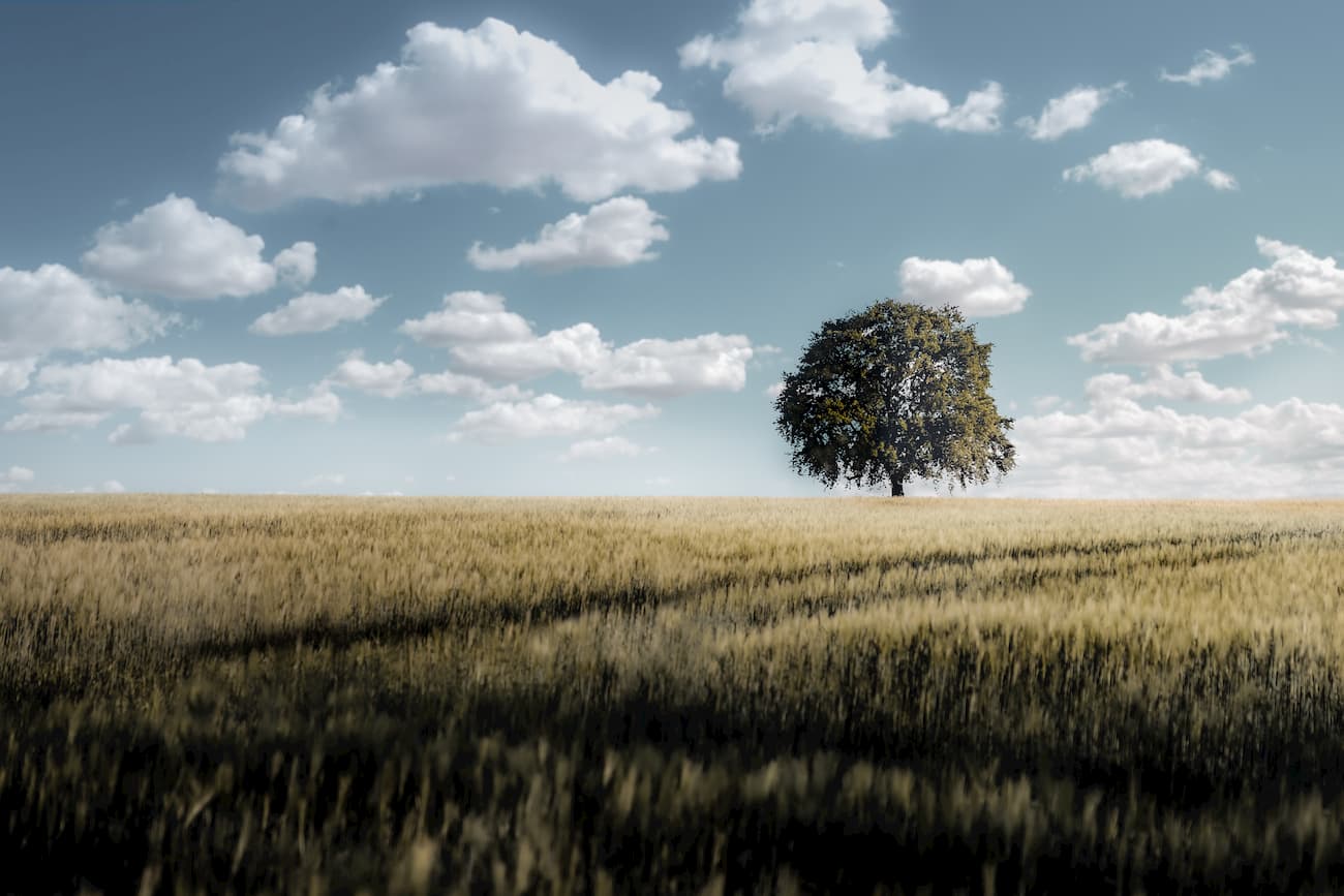 Germany, Münsterland, @kamasway