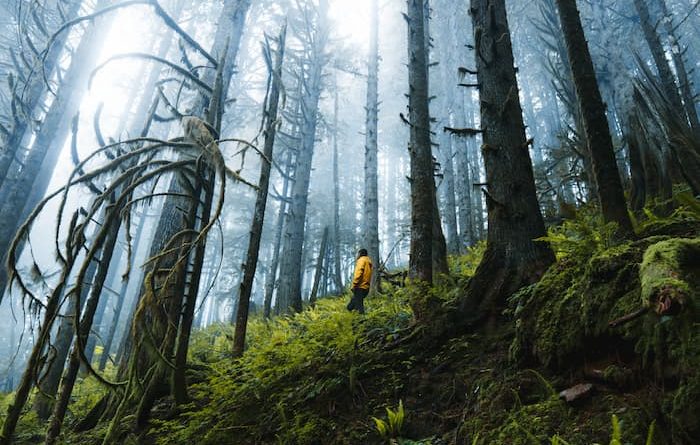 USA, WA, Boulder River Wilderness, @montreal_sky