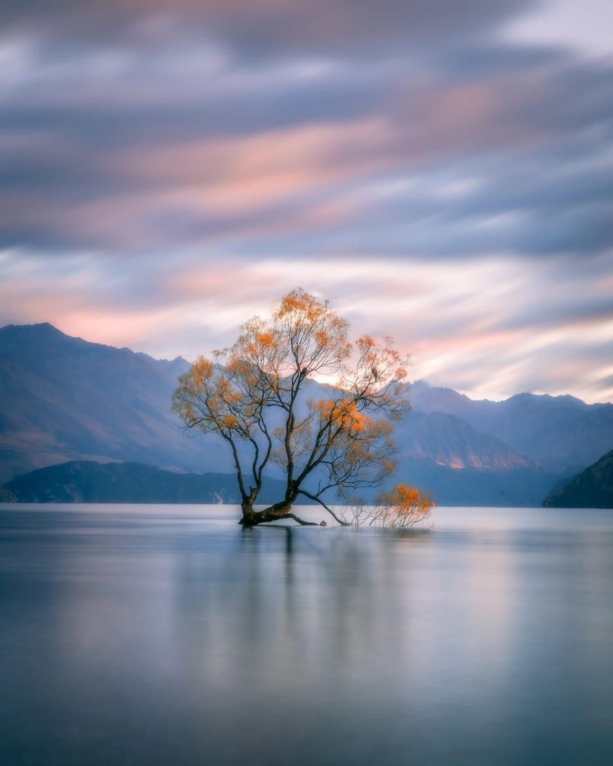 Jamie Justus Out @jamieout Landscape photographer based in Canada ...