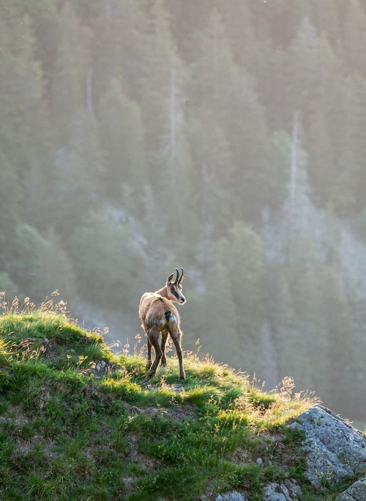 France, Vosges, @fl0renc