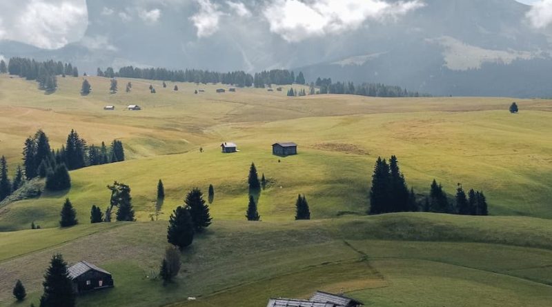 Italy, Alpe di Siusi, @selimao96