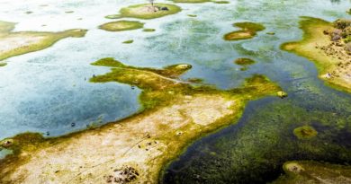 botswana.okavangodelta.noahmaeder