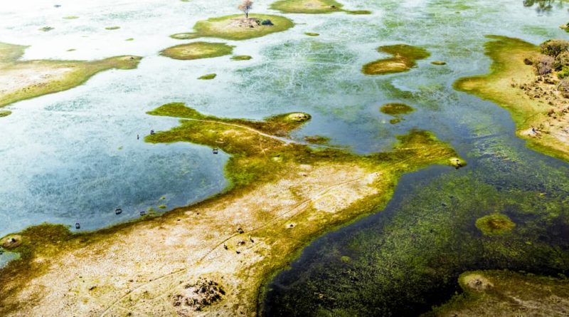 botswana.okavangodelta.noahmaeder