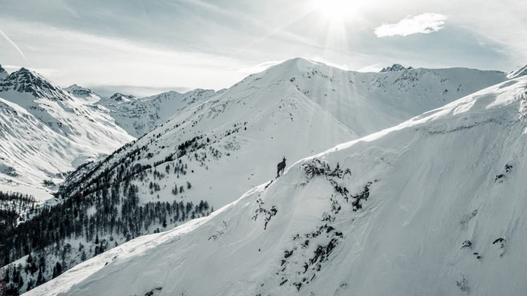 La Fouly, Valais, Switzerland, aerial__photography