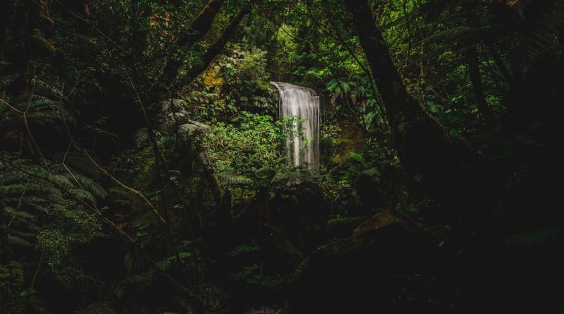 New Zealand - South Island - @benjamin.berthold