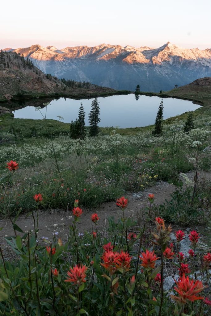 US, Shasta-TrinityNationalForest, SomewhereSierra