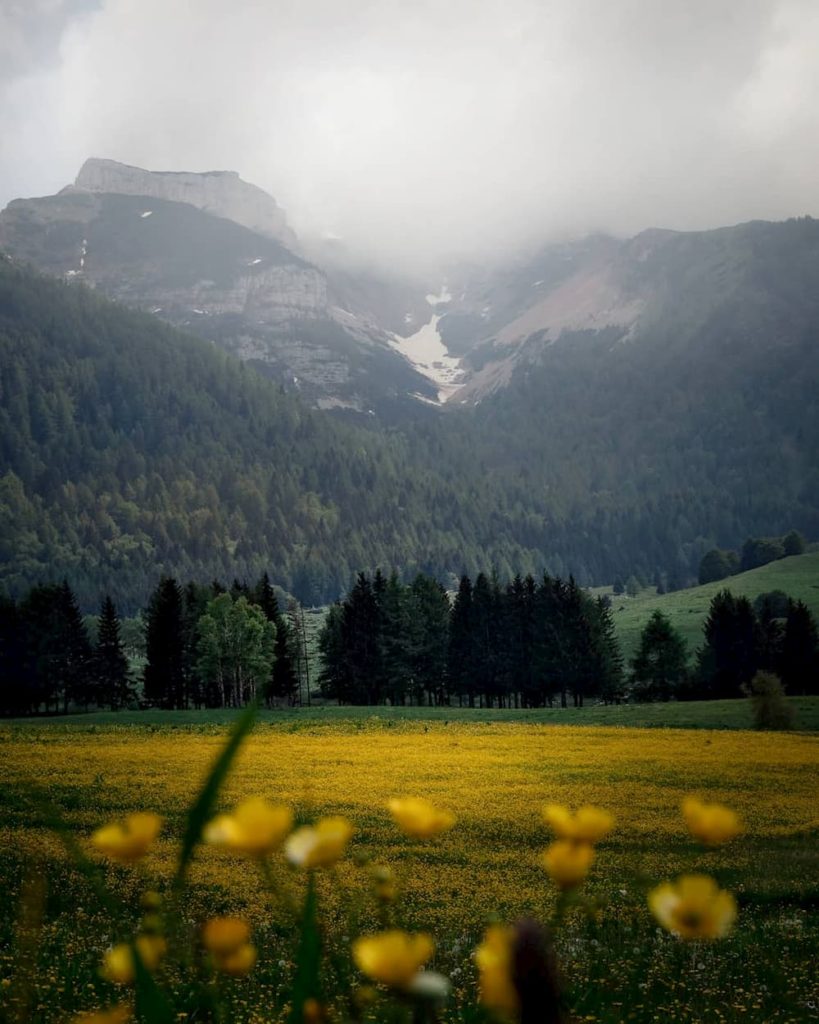 Italy, Trentino, Monte Bondone, @simonemusacchio