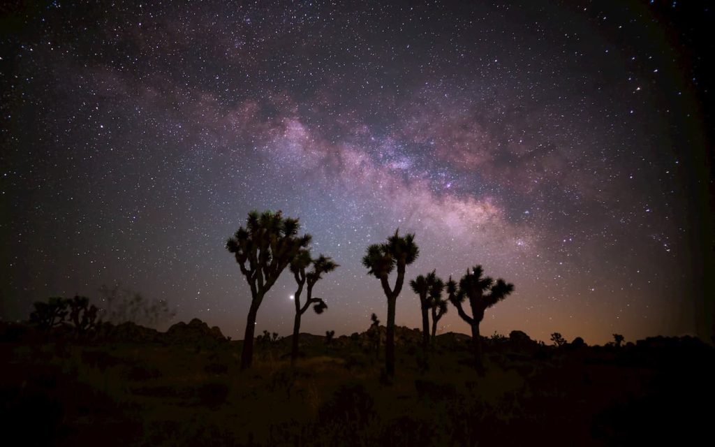 @reader_outside- Joshua Tree National Park- United States