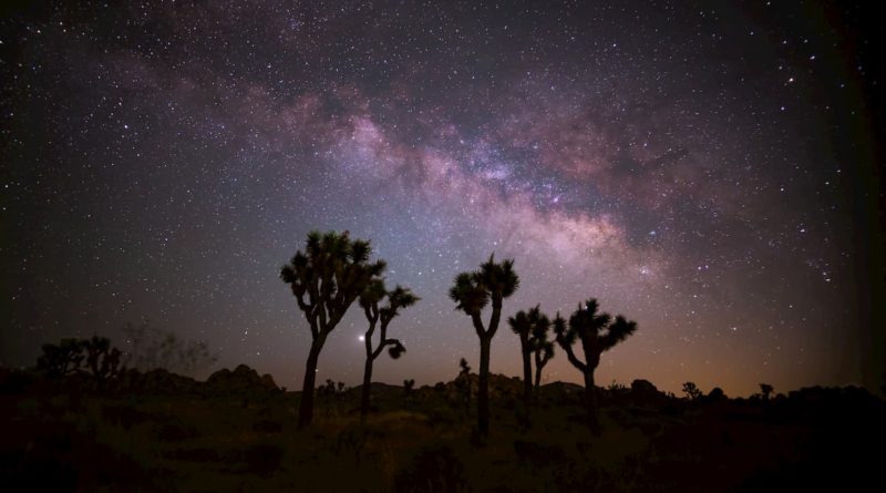 @reader_outside- Joshua Tree National Park- United States