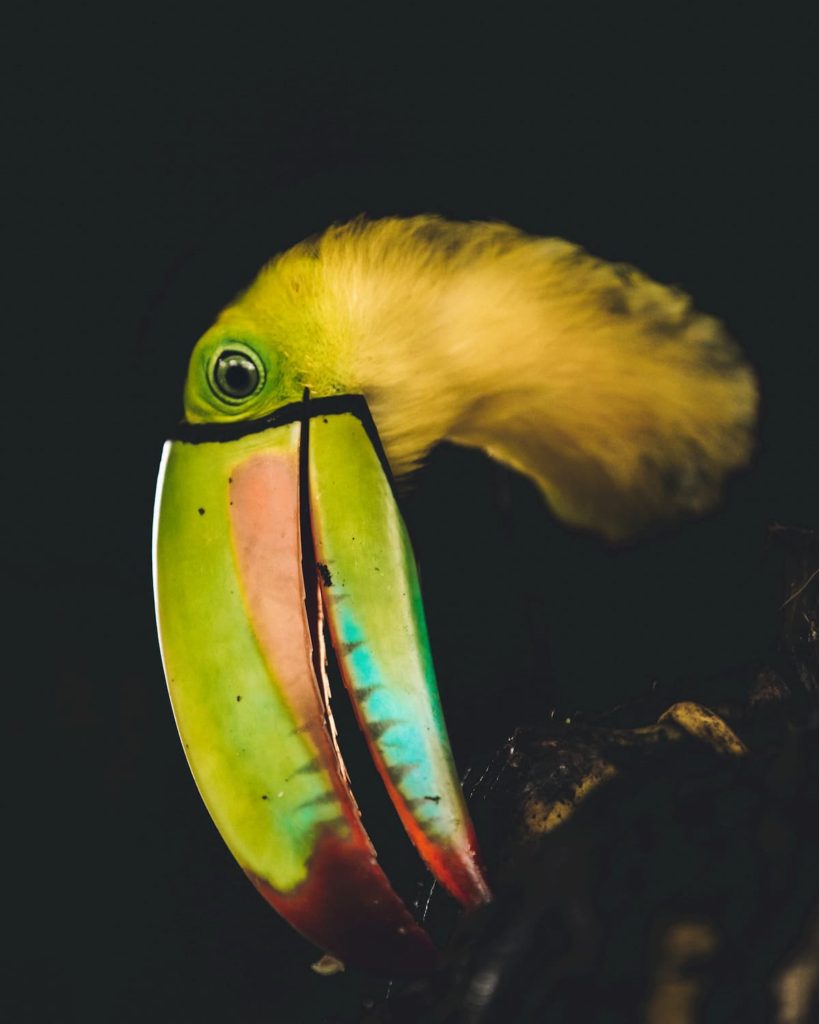 Costa Rica, Parque National Tenorio, Maximilian Lehrke