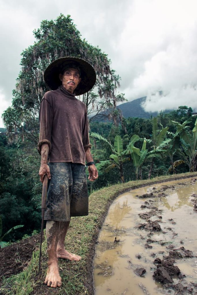 Indonesia, Jatiluwih Rice Terraces, @benverlooy