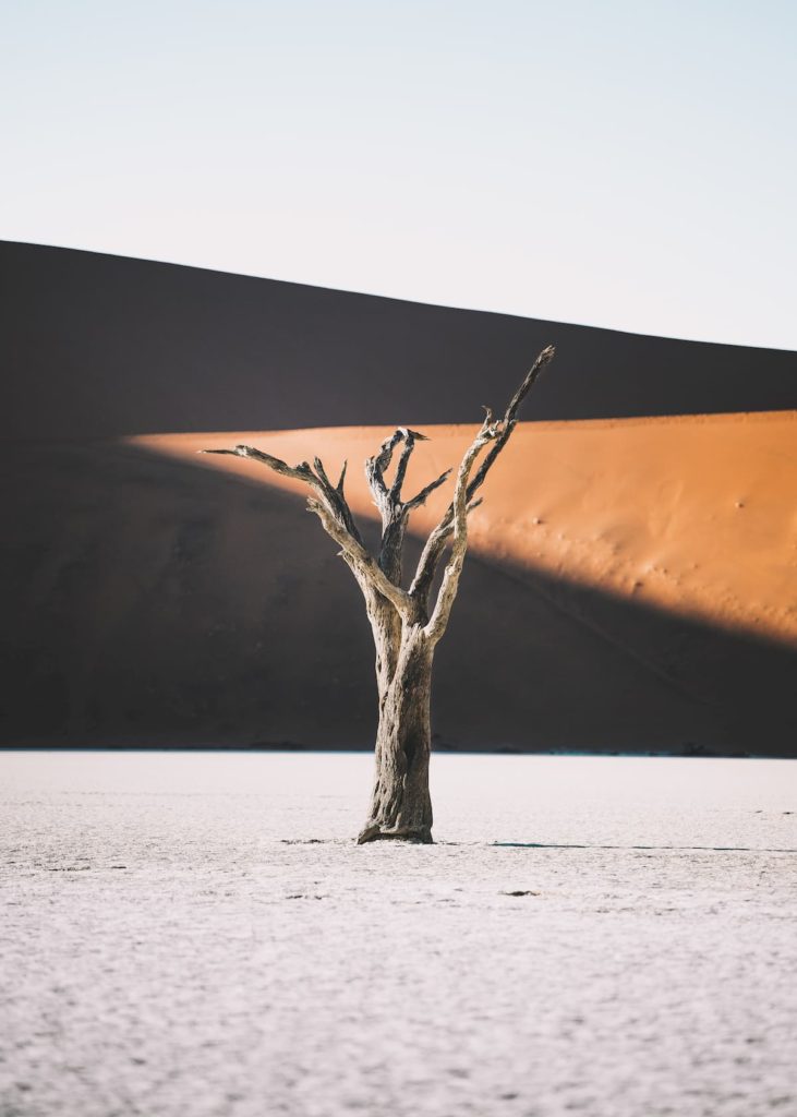 Namibia, Namib Desert 2, @mx.lh